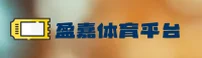 盈嘉(YINGJIA)官方网站 · 畅玩无限 · A8ZQ